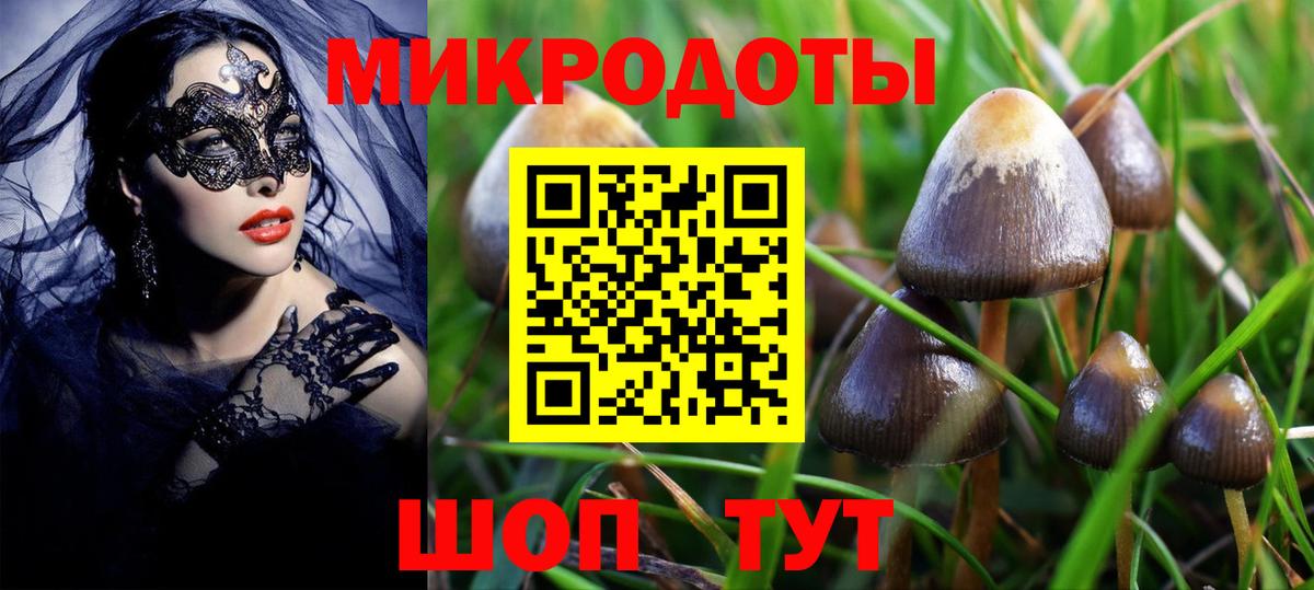 Псилоцибиновые грибы мухоморы  Вход с VPN  Зерноград 