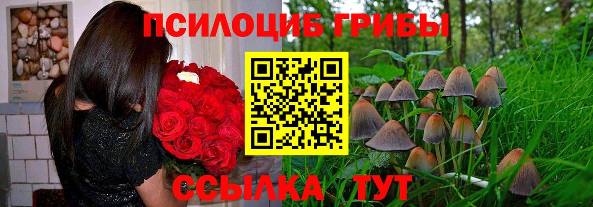 Псилоцибиновые грибы Cubensis Зерноград